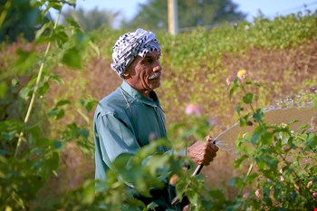 مرد خاص پروژه پالایشگاه آبادان: ختمِ کلام؛ ما عاشق طبیعتیم
